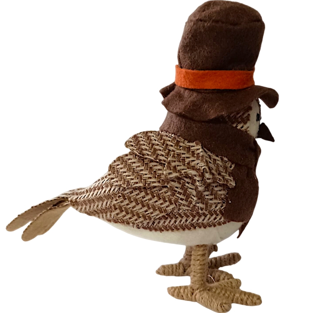 Target Featherly Friends Harvest Bird 2015 FIRST Autumn Felt Top Hat Wondershop - Picture 4 of 14